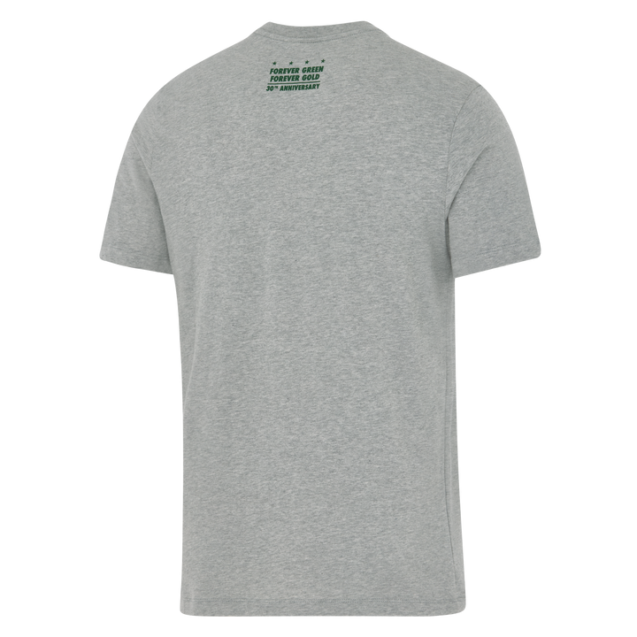 Nike Springboks Men's Heritage Graphic T-Shirt Dark Grey