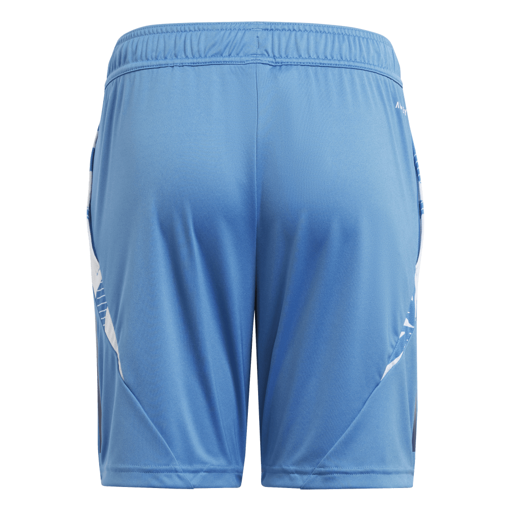 Adidas France Junior Gym Shorts