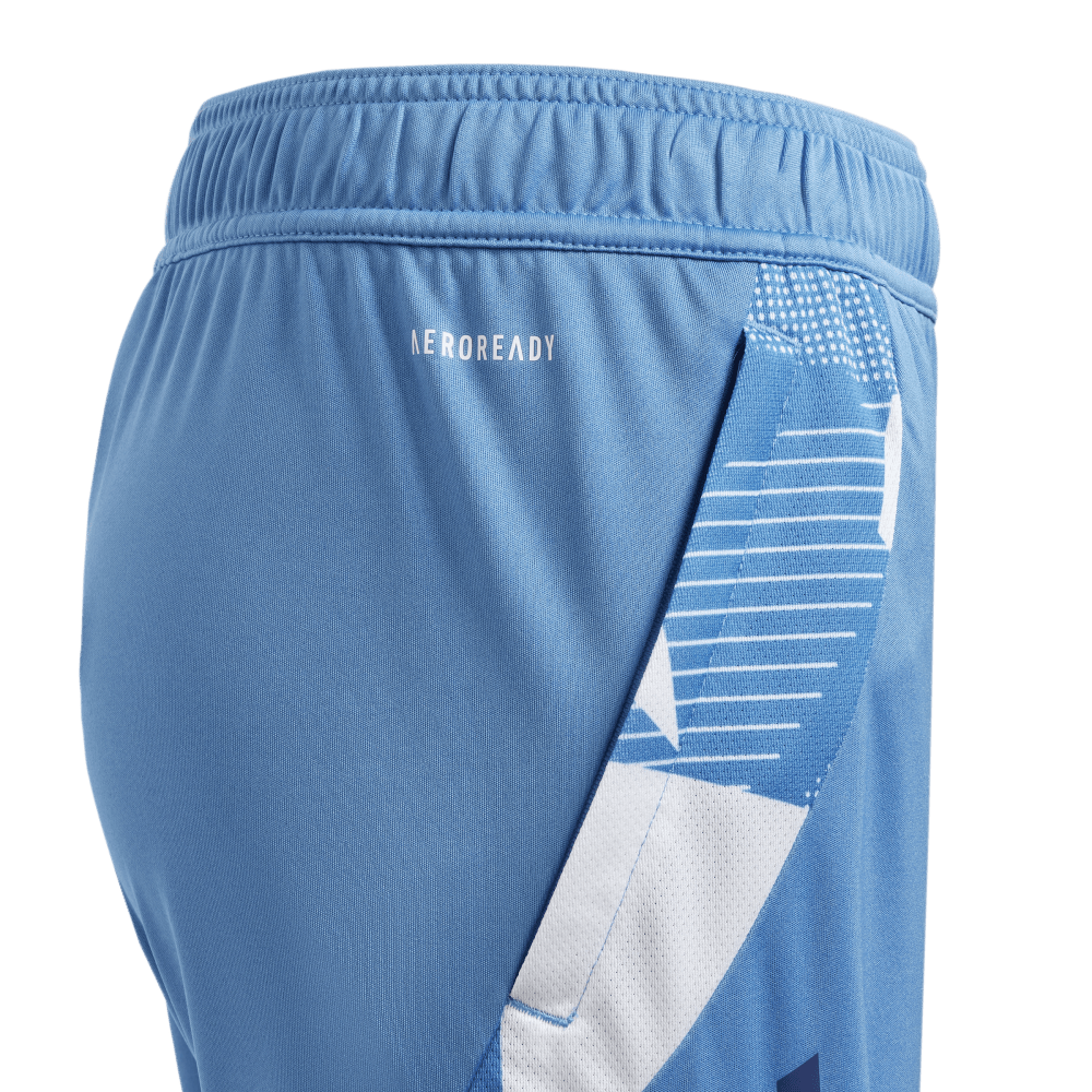Adidas France Junior Gym Shorts