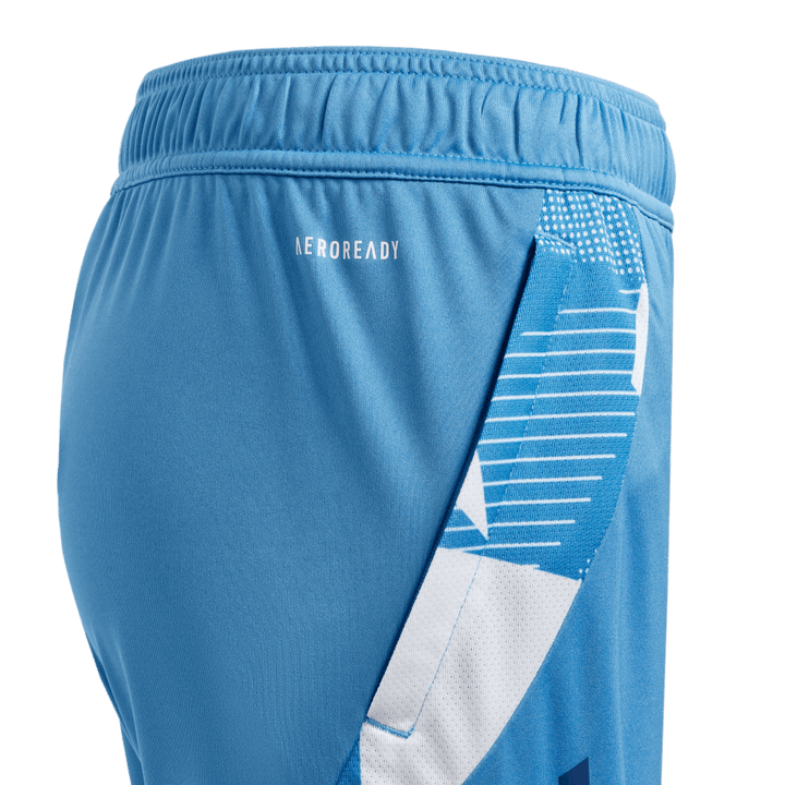 Adidas France Junior Gym Shorts