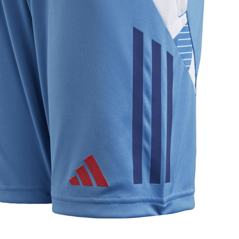 Adidas France Junior Gym Shorts