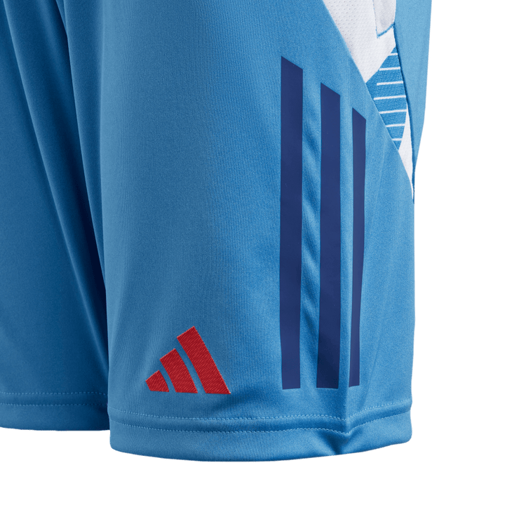 Adidas France Junior Gym Shorts