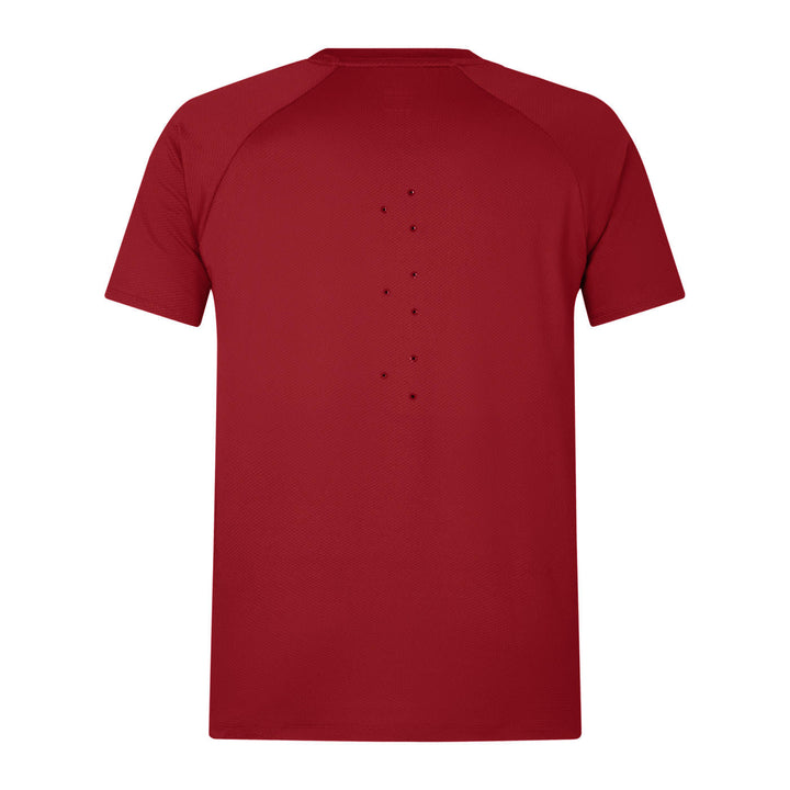 Canterbury British & Irish Lions Everest T-shirt Red