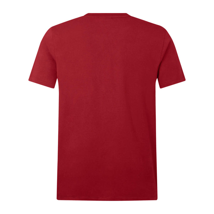 Canterbury British & Irish Lions Men's Cotton T-Shirt Red