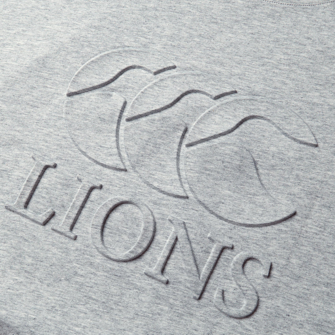 Canterbury British & Irish Lions Monument T-Shirt Men