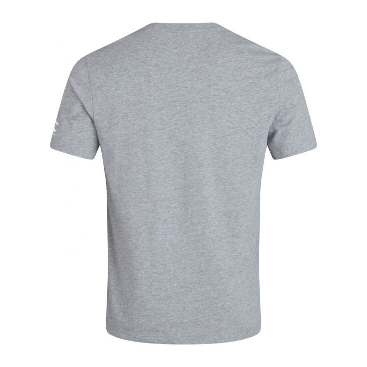 Canterbury Ireland T-Shirt Mens Grey