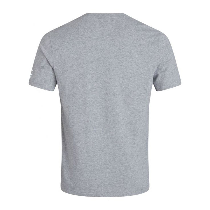 Canterbury Ireland T-Shirt Mens Grey