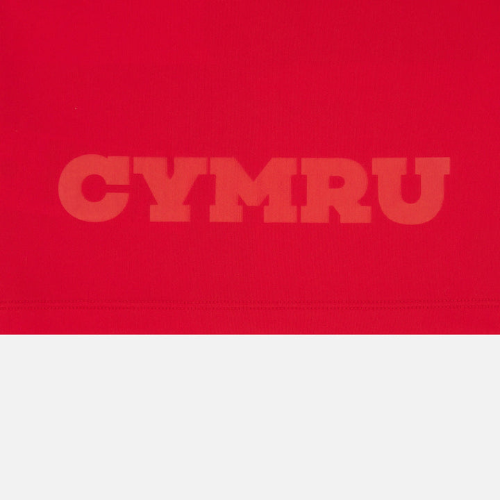 Macron Wales Replica Rugby Thuisshirt Baby 2025/26