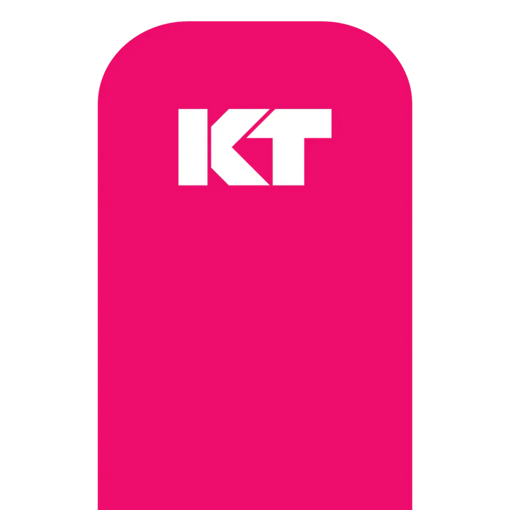 KT Tape Original Voorgesneden (5 x 25 cm) – 20 stuks – 5 meter