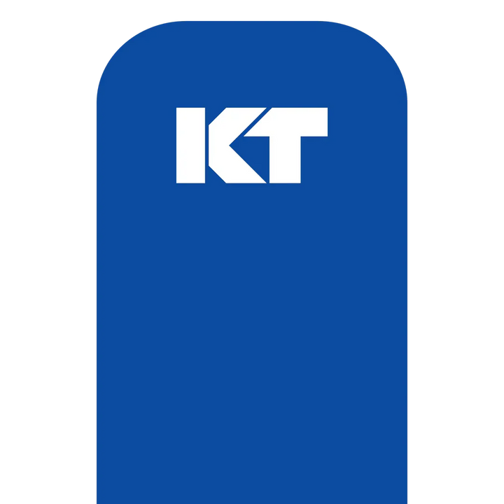 KT Tape Original Voorgesneden (5 x 25 cm) – 20 stuks – 5 meter