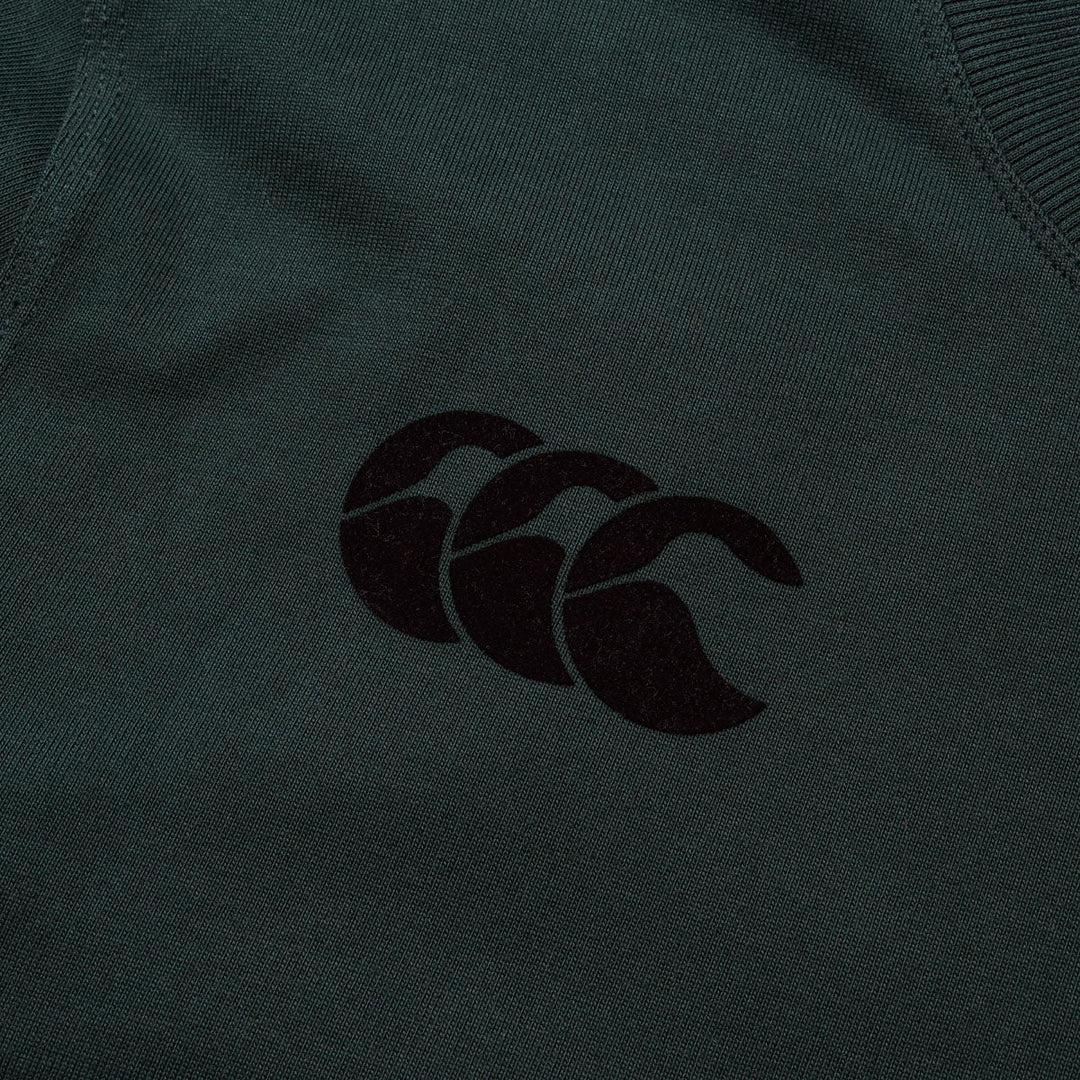 Canterbury British & Irish Lions Stealth Heavyweight Cotton T-Shirt Men